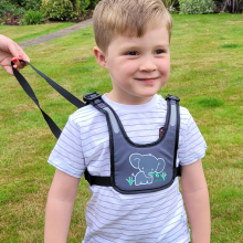 Padded Harness & Walking Reins