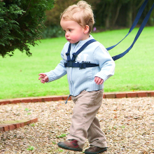 Walking Harness with Reins